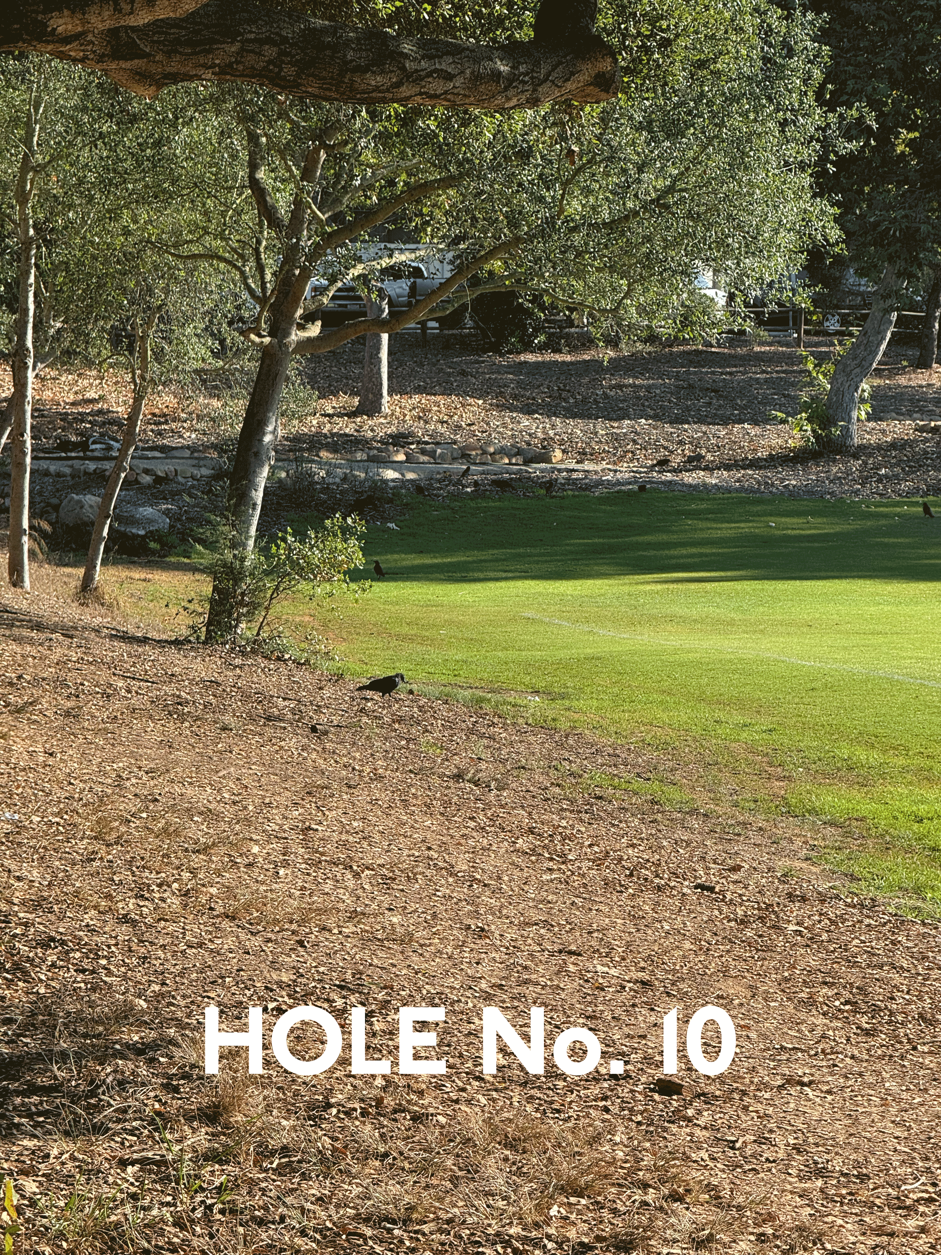 Will's Course Hole 10
