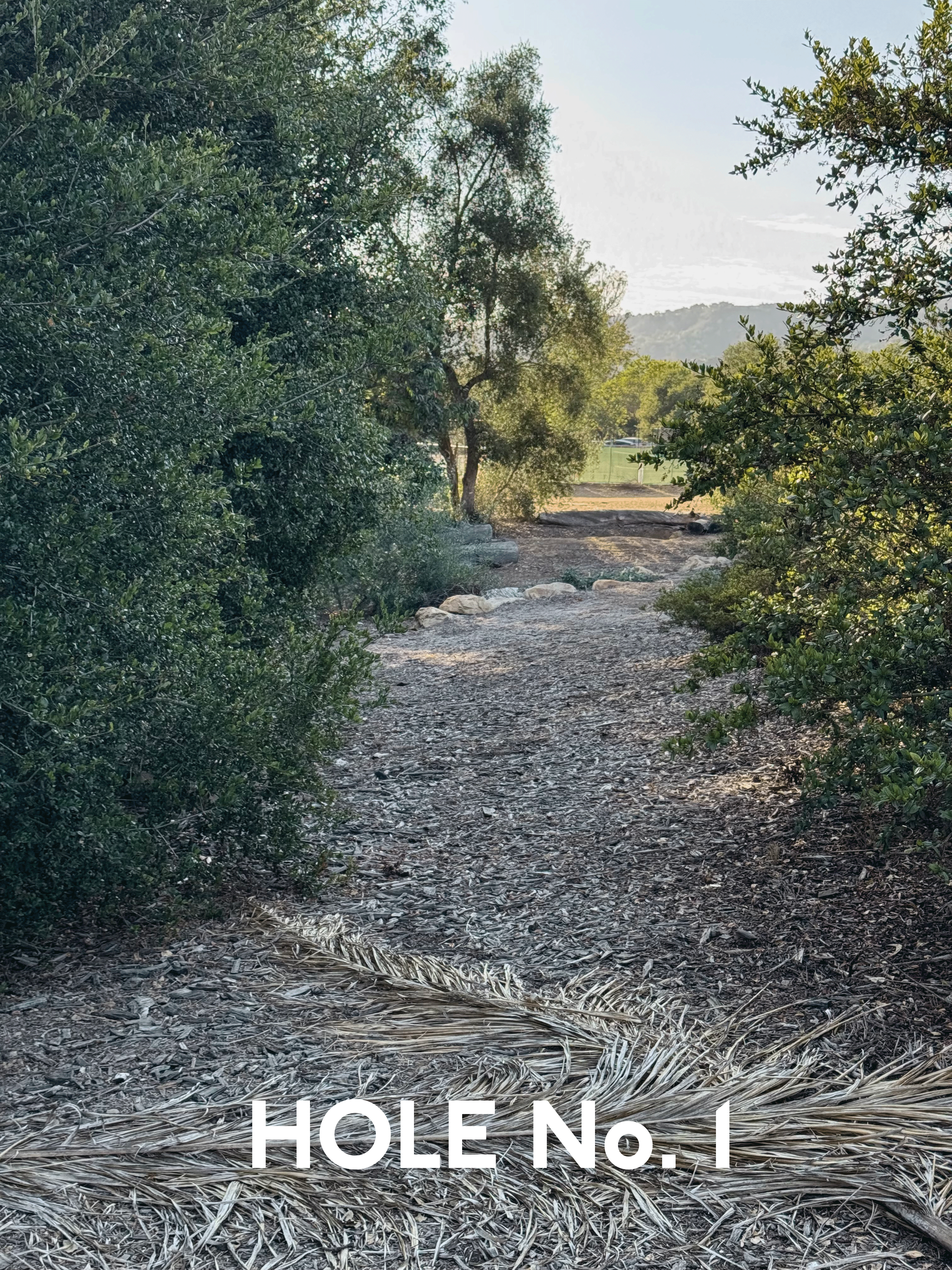 Will's Course Hole 1