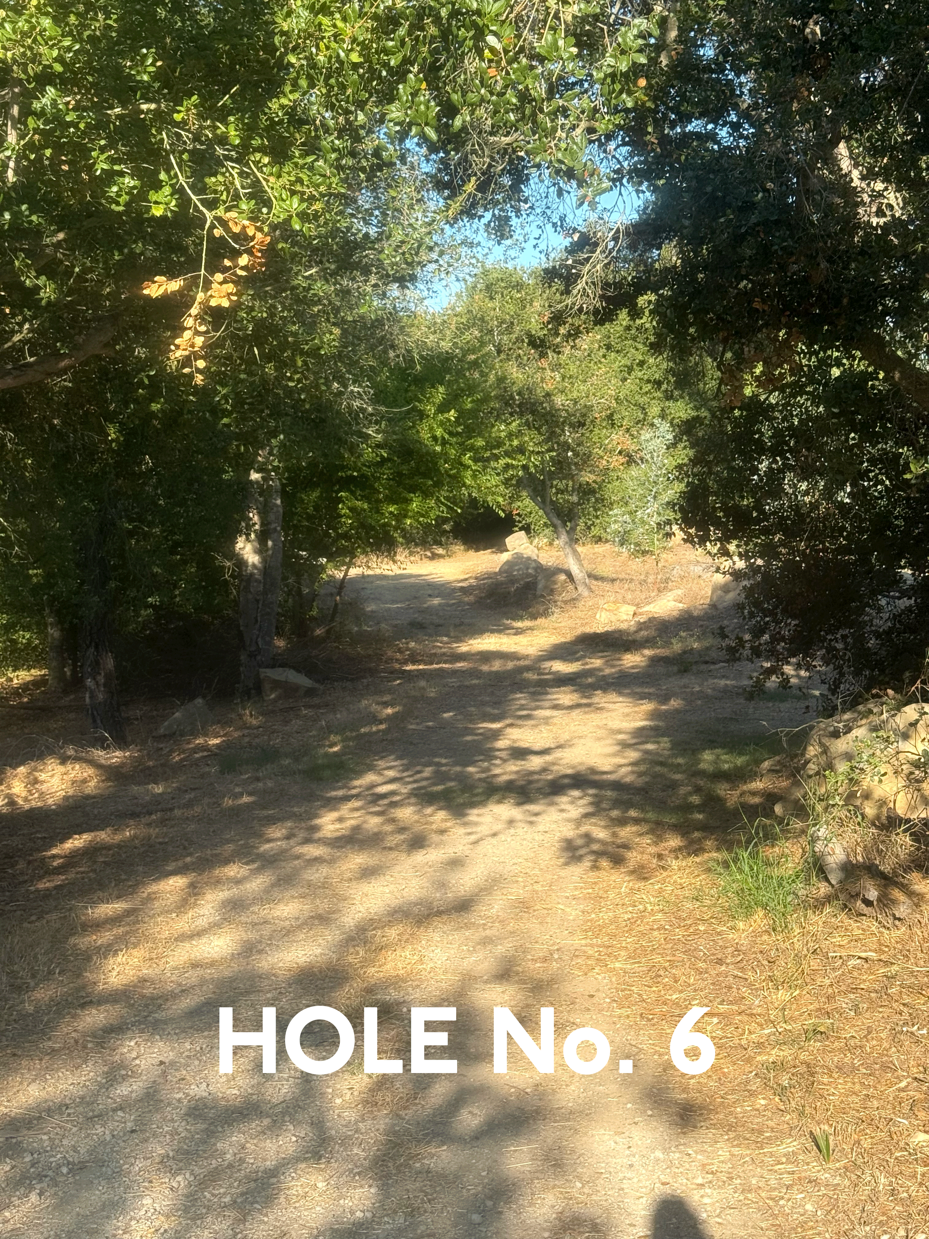 Will's Course Hole 6