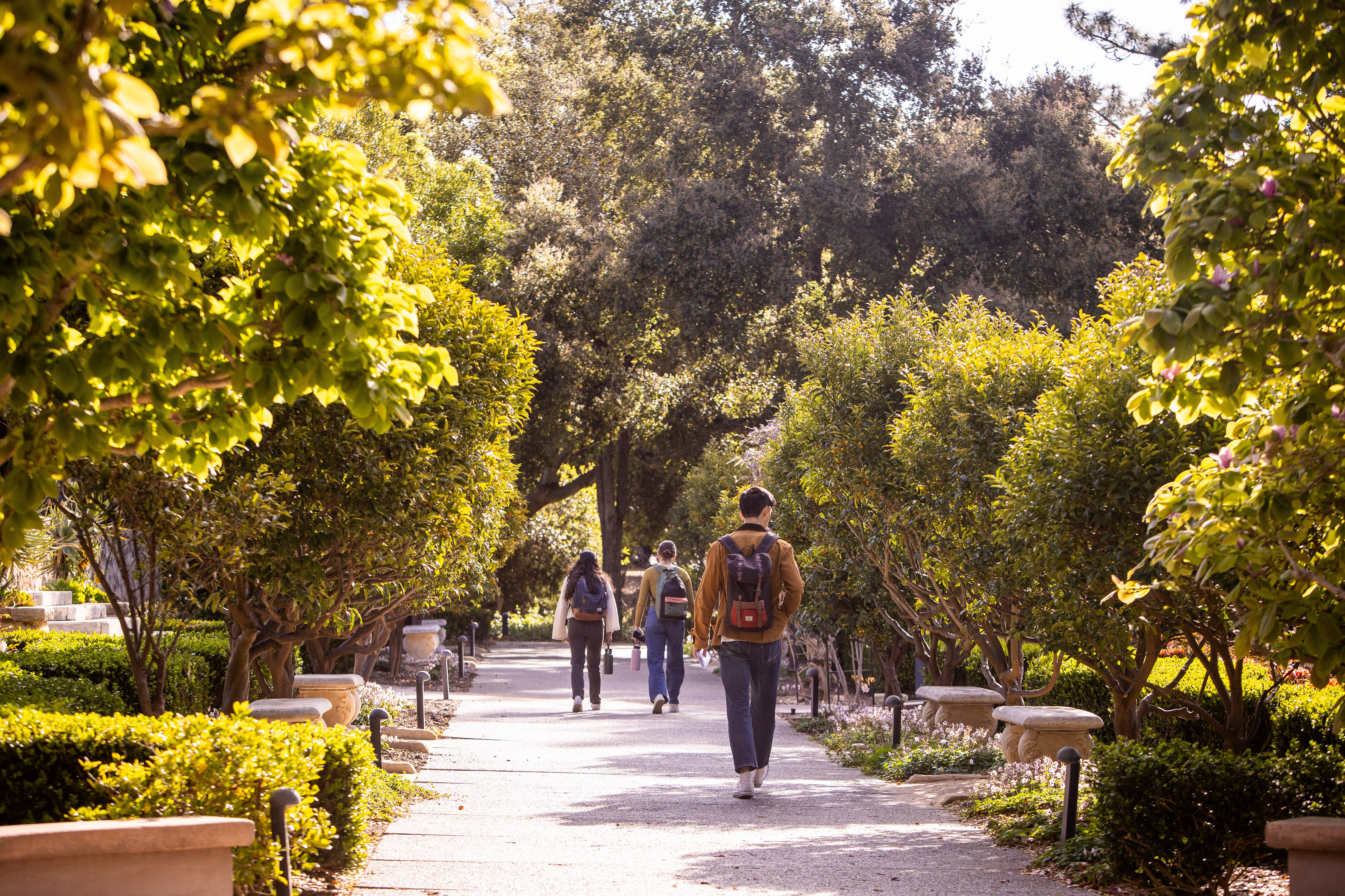 student walking through greenery on westmont campus