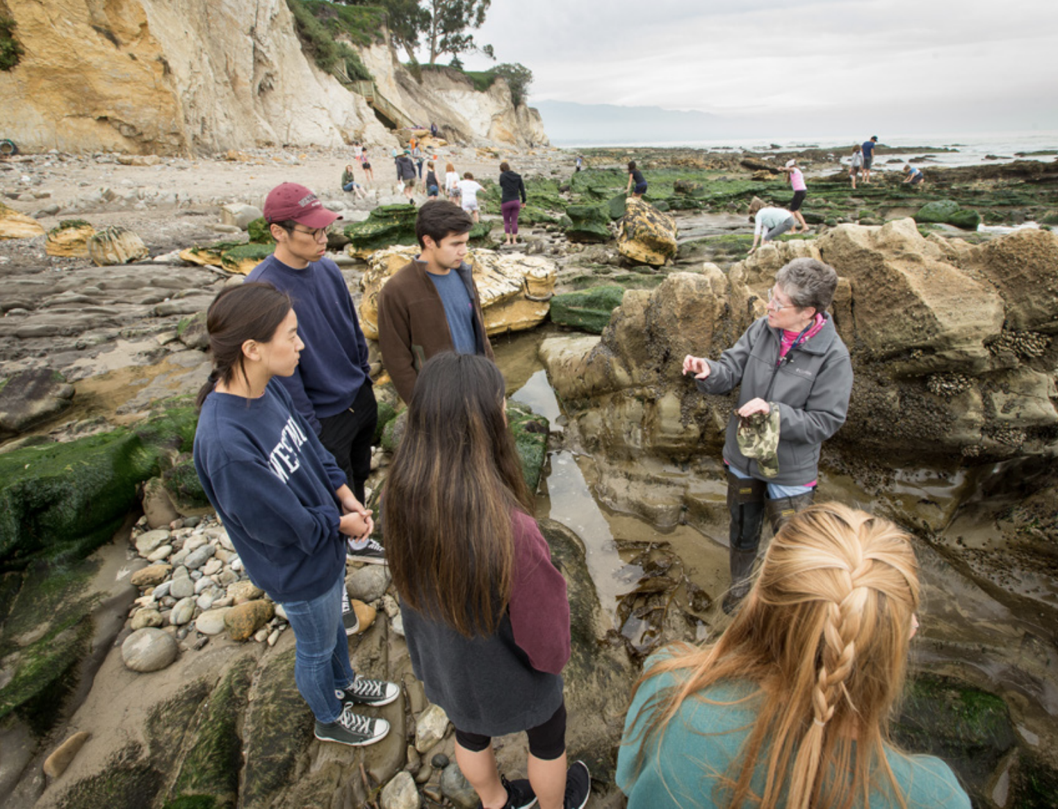 students learning on the beach