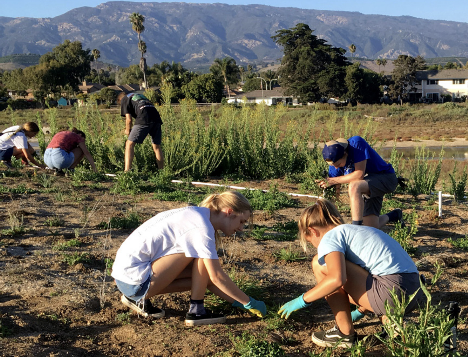 environmental studies