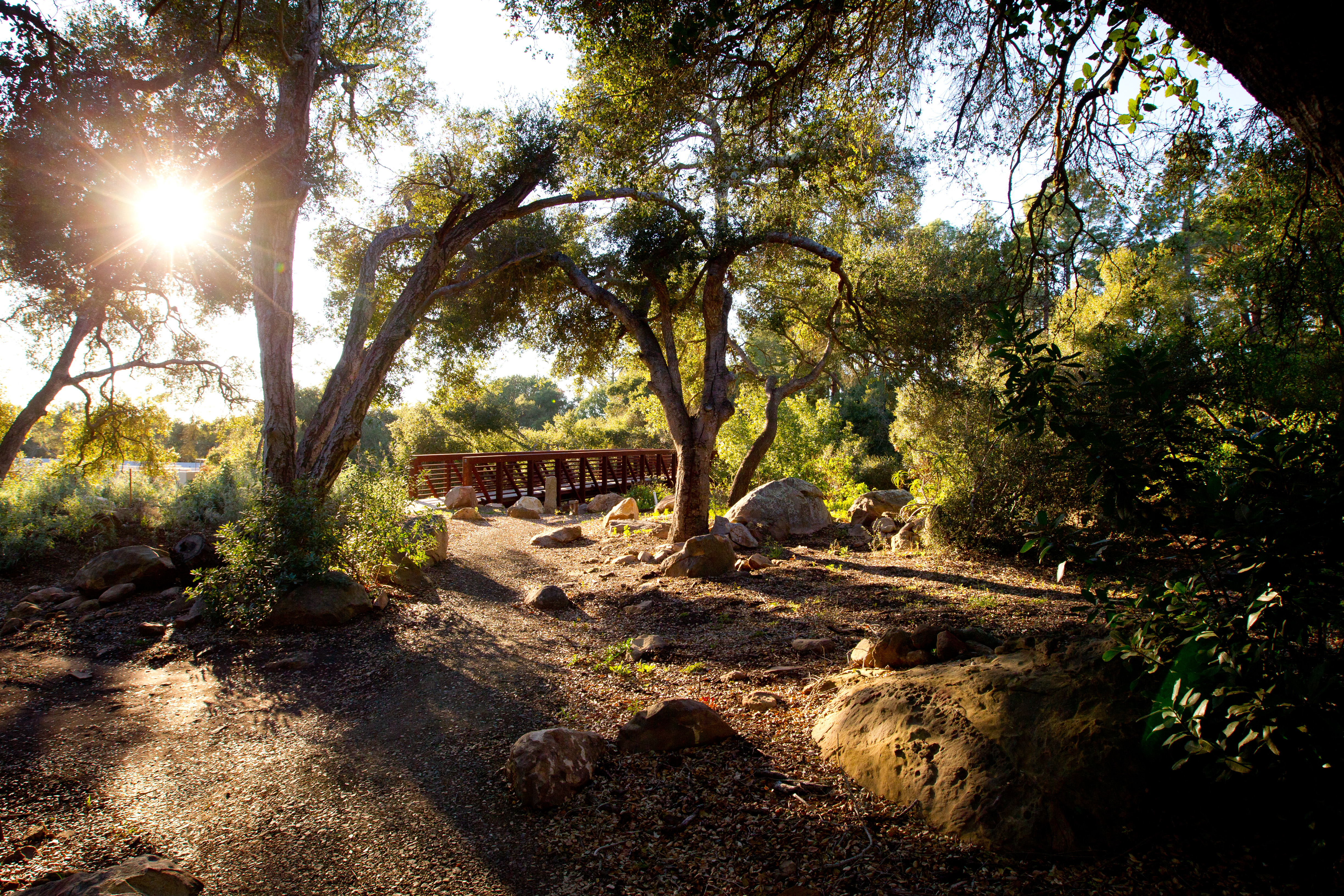 westmont campus bridge morning