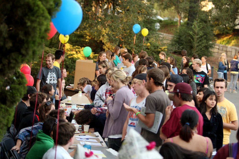 Community Picnic