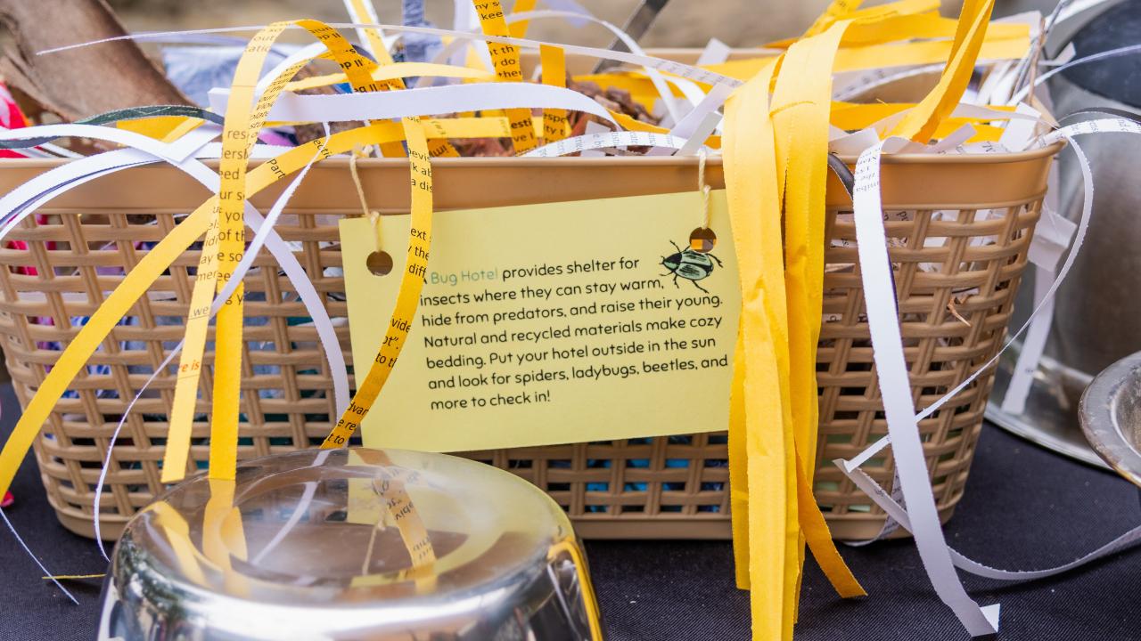 Bug Hotel craft using a basket and shredded recycled paper.