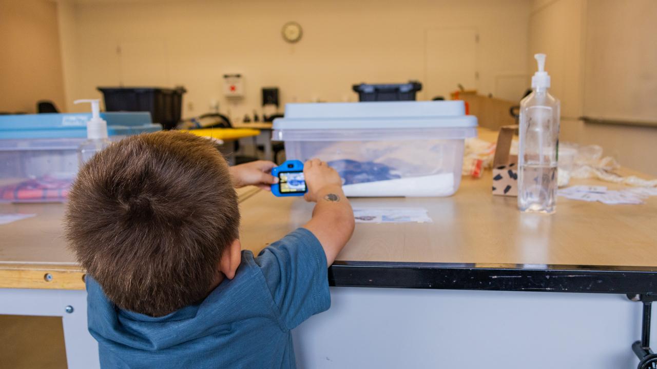 A young boy taking a photo of a snake in a clear box.