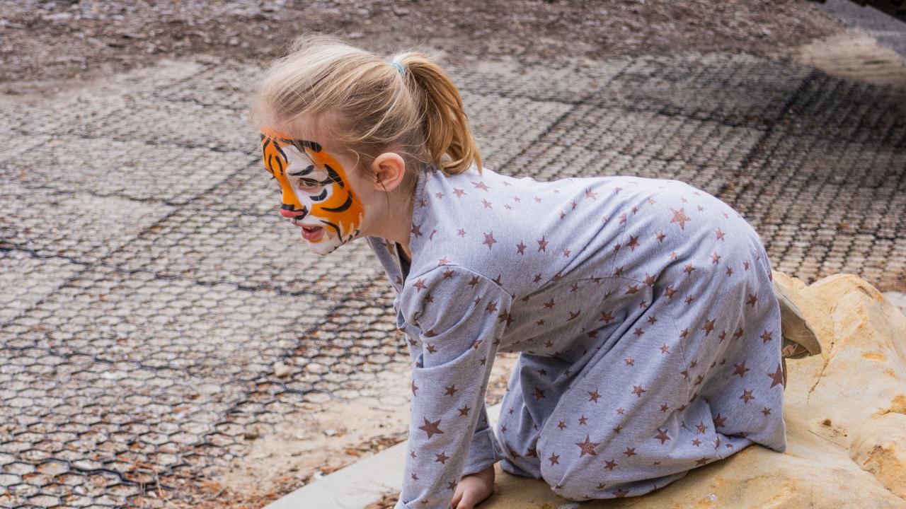 Girl with tiger facepaint climbing on a rock at the event.