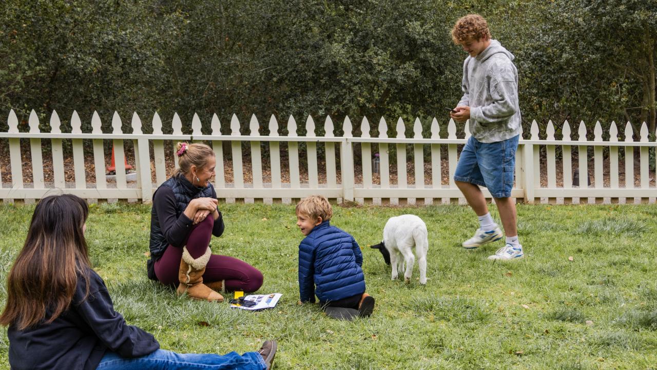 Students and visitors meeting Paloma the lamb.