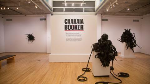 Chakaia Booker Art Exhibit in Westmont Museum
