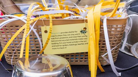 Bug Hotel craft using a basket and shredded recycled paper.
