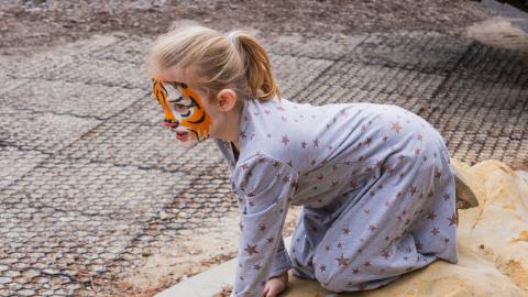 Girl with tiger facepaint climbing on a rock at the event.
