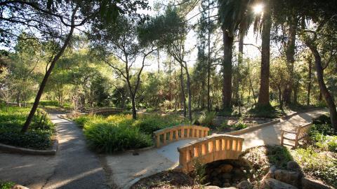 campus pathway visit page
