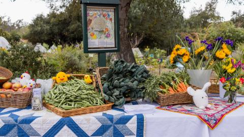Colorful display of farm fresh produce and flowers in the Westmont Garden.
