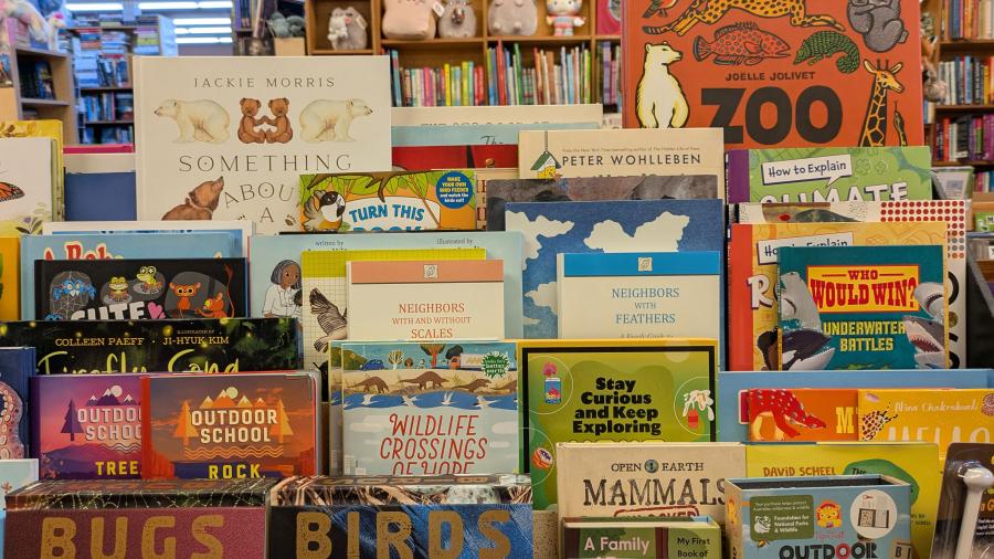 Amanda Sparkman Books at Bookstore