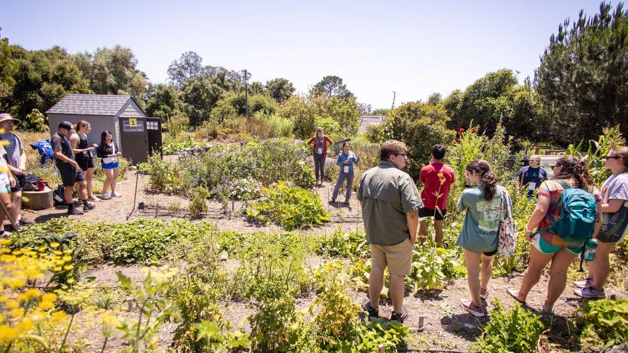 Westmont Garden for Workshop Students