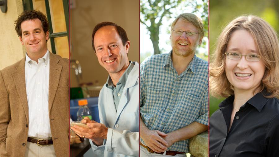Faculty Award Winners
