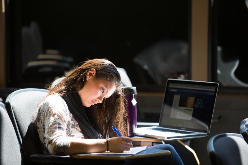 Student Studying