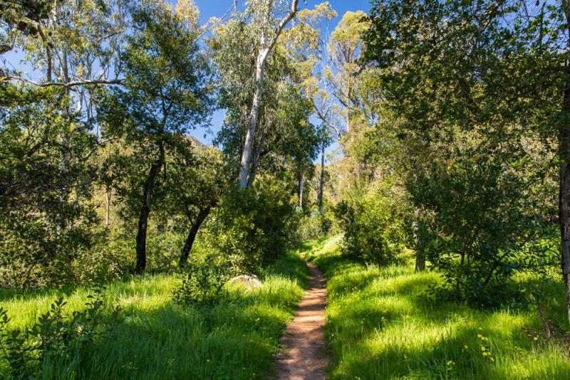 Westmont college deeper thinking wider impact 