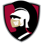 Masked Warrior