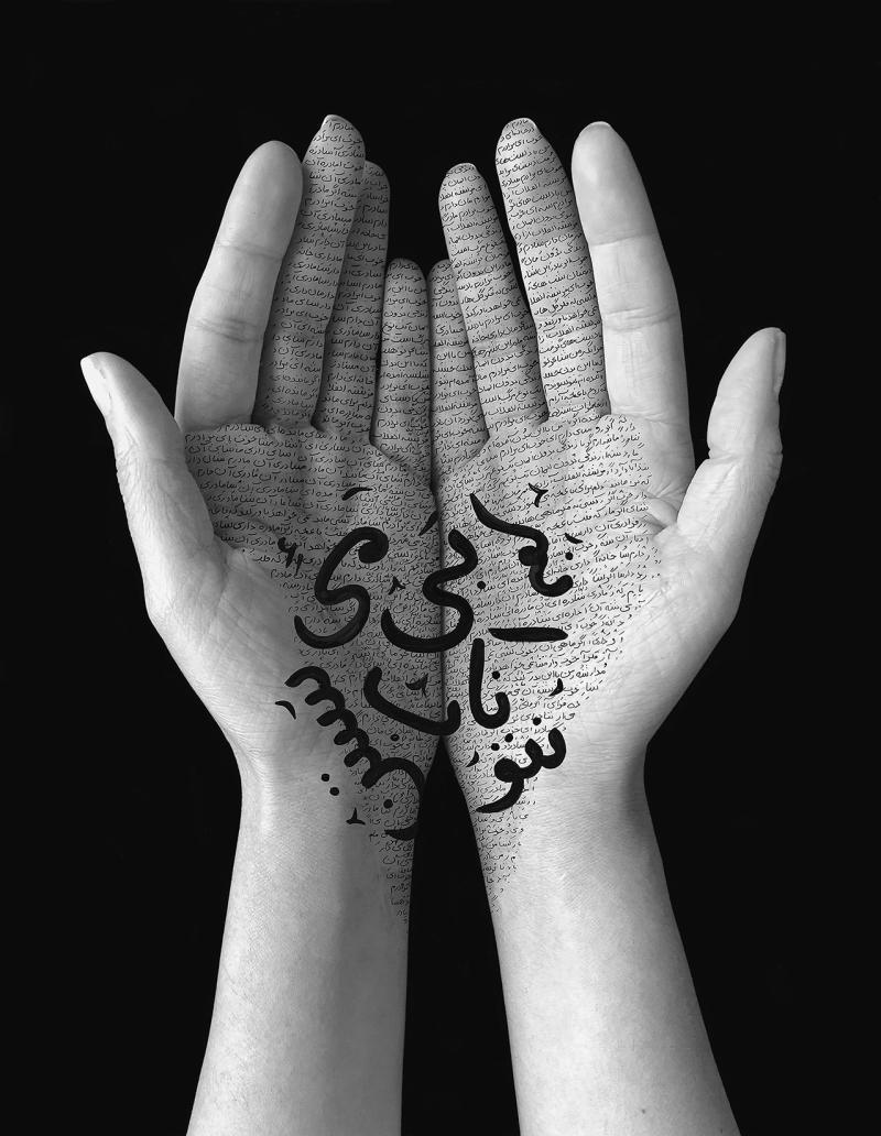 Shirin Neshat - Offerings