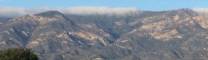 From Douglas Grove