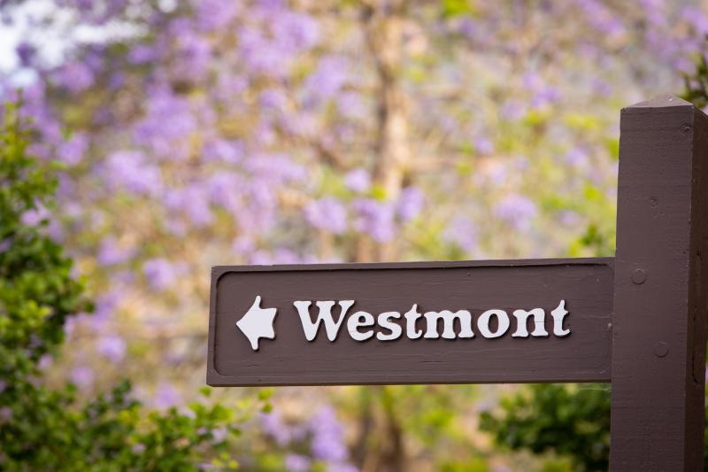 This way to Westmont