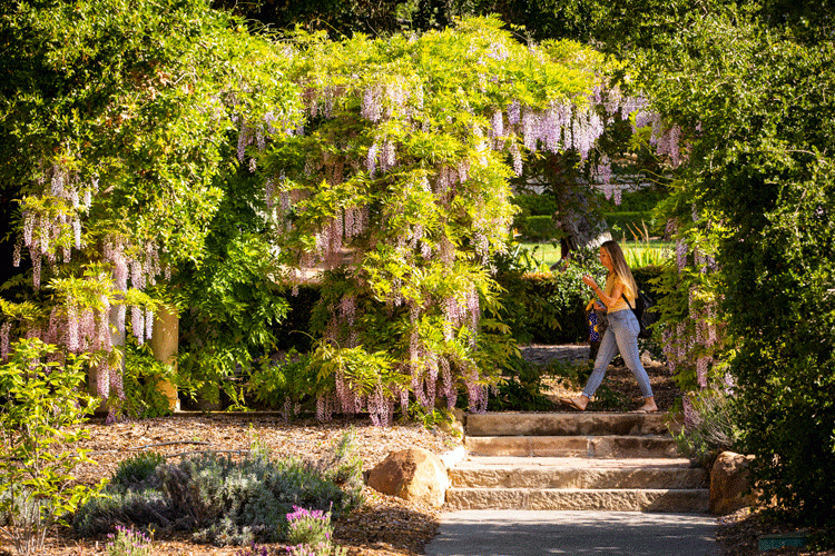 Westmont college deeper thinking wider impact 