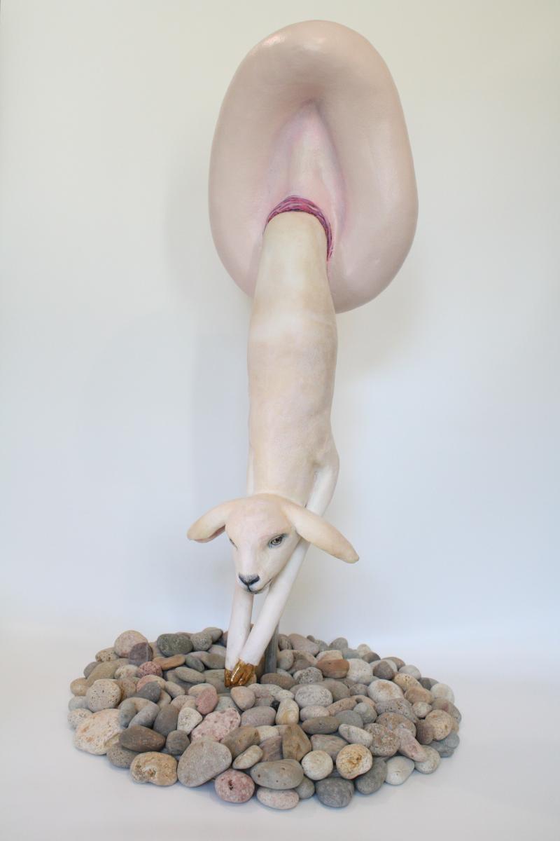 Crane Newborn
