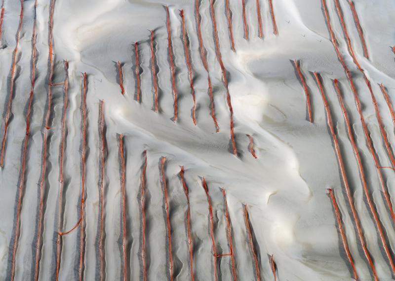 red lines in white sand