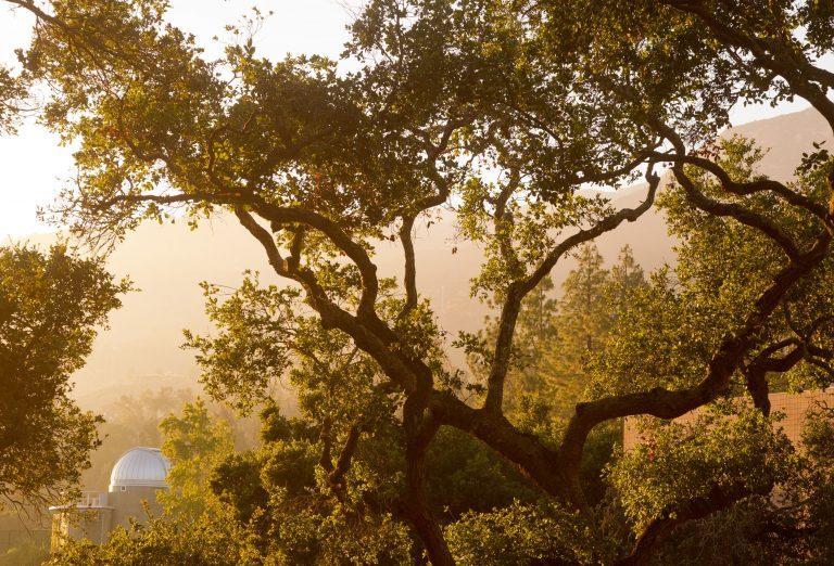 The Westmont Observatory shrouded by oak trees