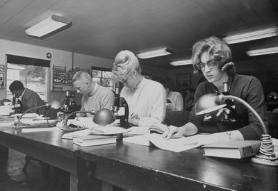 1960s students studying 