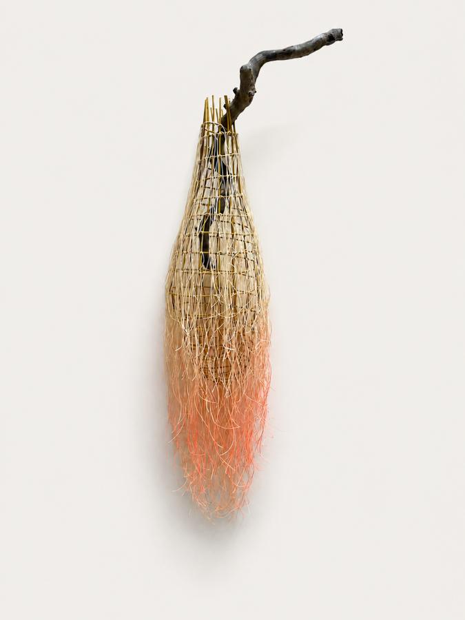 Carol Shaw Sutton "Glowing Seed"
