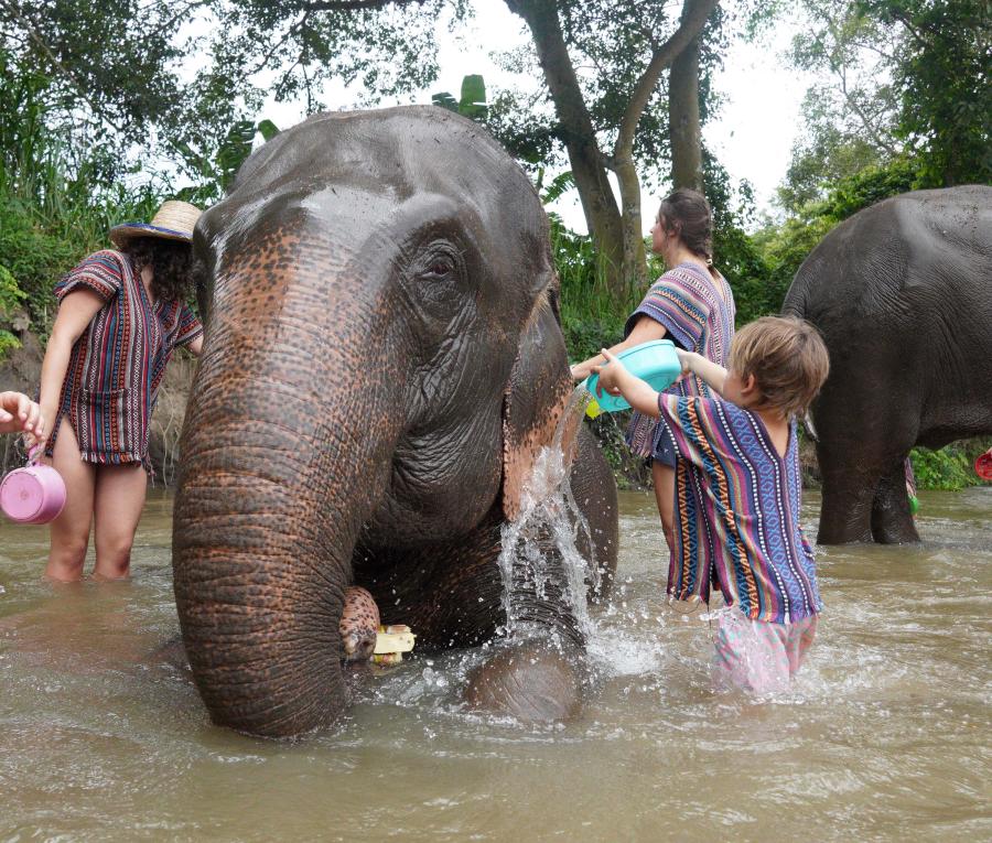 Jill Lin's son washing elephant