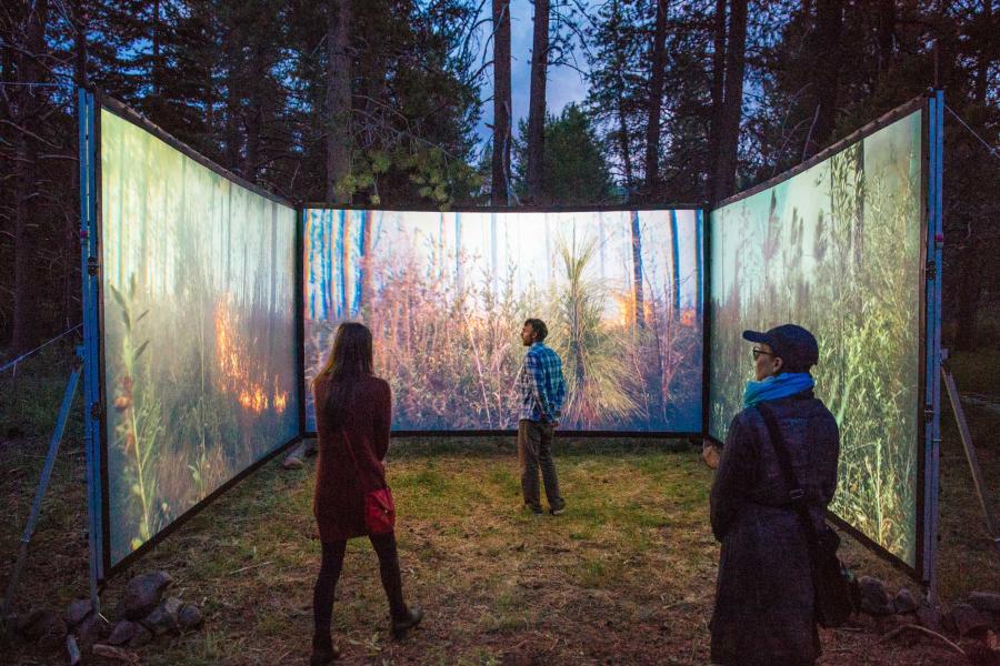 Ethan Turpin's "Walk Into Wildfire"