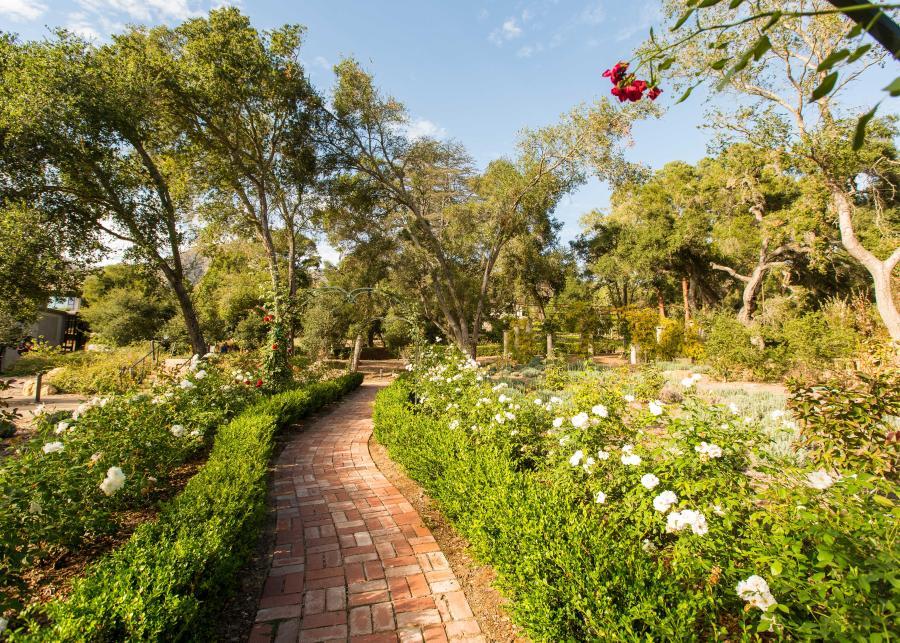 Westmont Gardens path