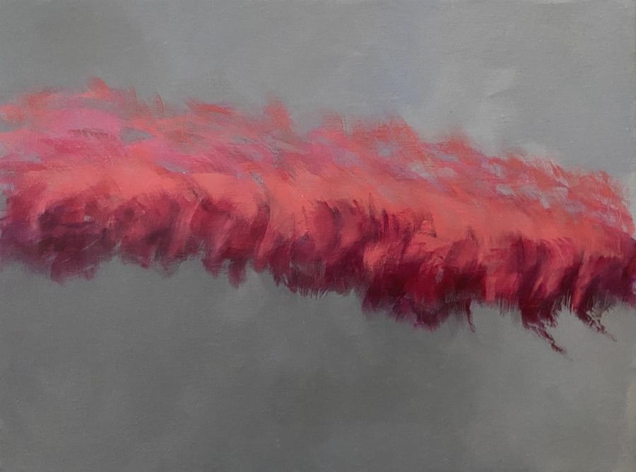 Pink Fire Retardant, Gray Smoke
