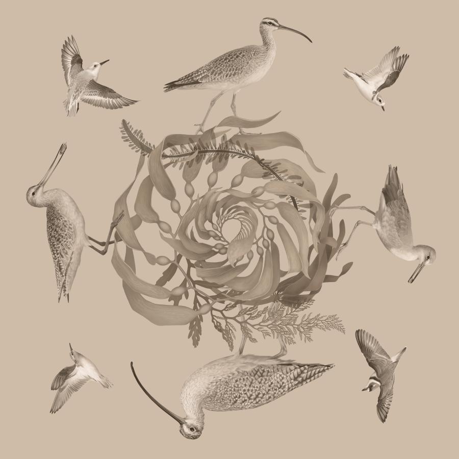 Robert's "Shoreline"