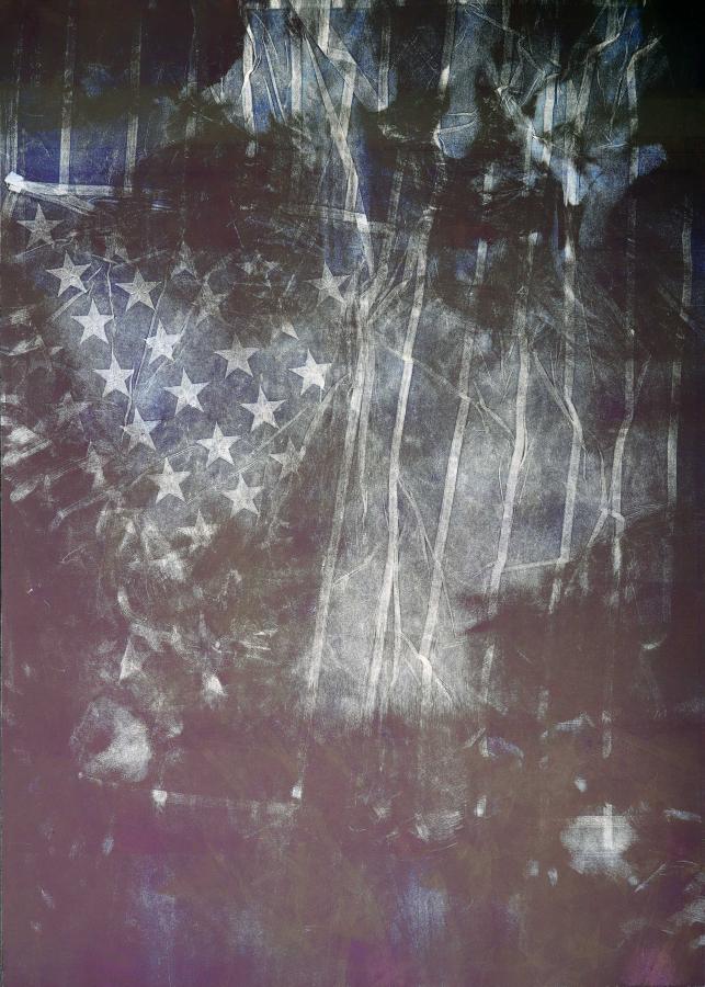 Meagan Stirling's "My Body, My Flag #3"