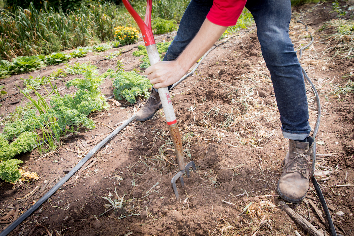 Person digging.