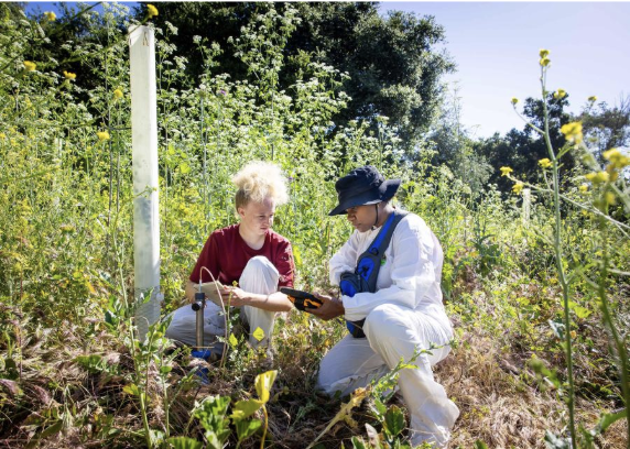 environmental studies